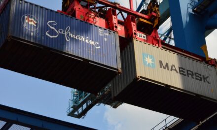 Los contenedores y su clasificación